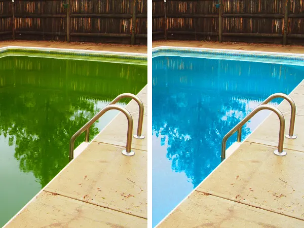 Local technique piscine Passion d'Eau — pompe et filtration